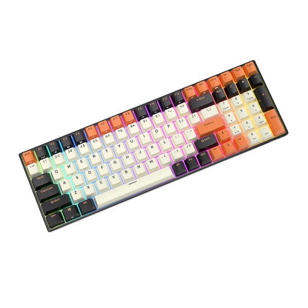 Mechanical keyboard Royal Kludge RK100 RGB, brown switch (black-orange)