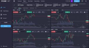 Maximize Your Trading Potential with PrimeXBT